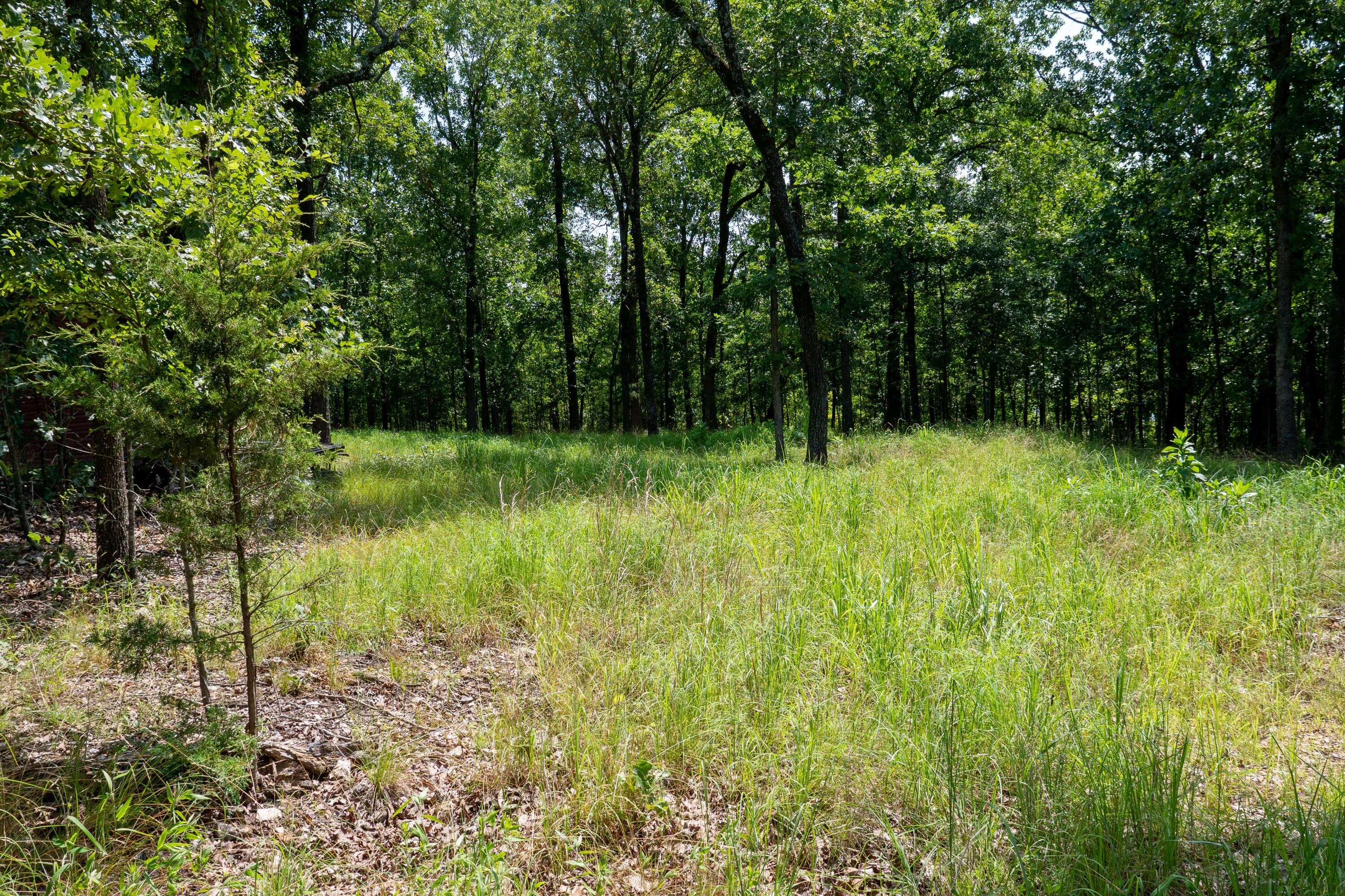 000 Shore Cove Property Photo 11