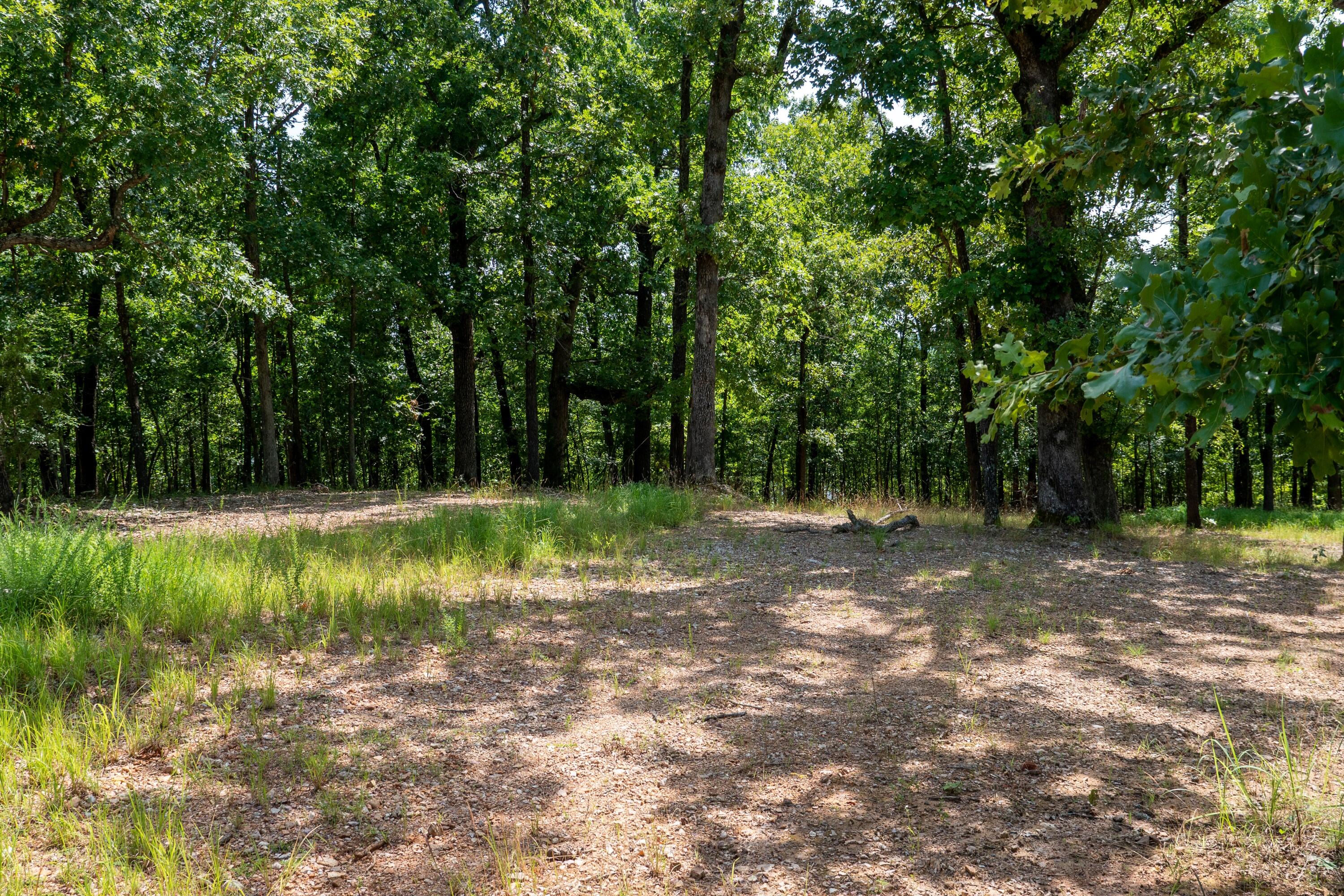 000 Shore Cove Property Photo 15