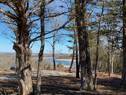 000 Shore Cove Property Photo 18