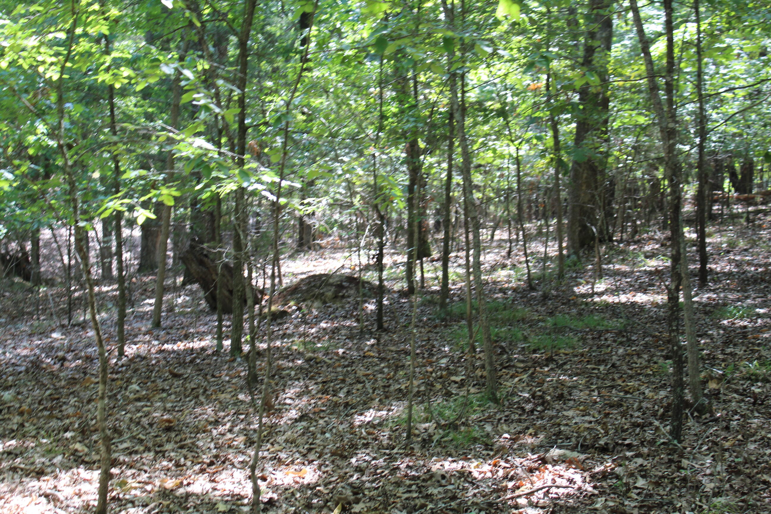 000 Shore Cove Property Photo 20