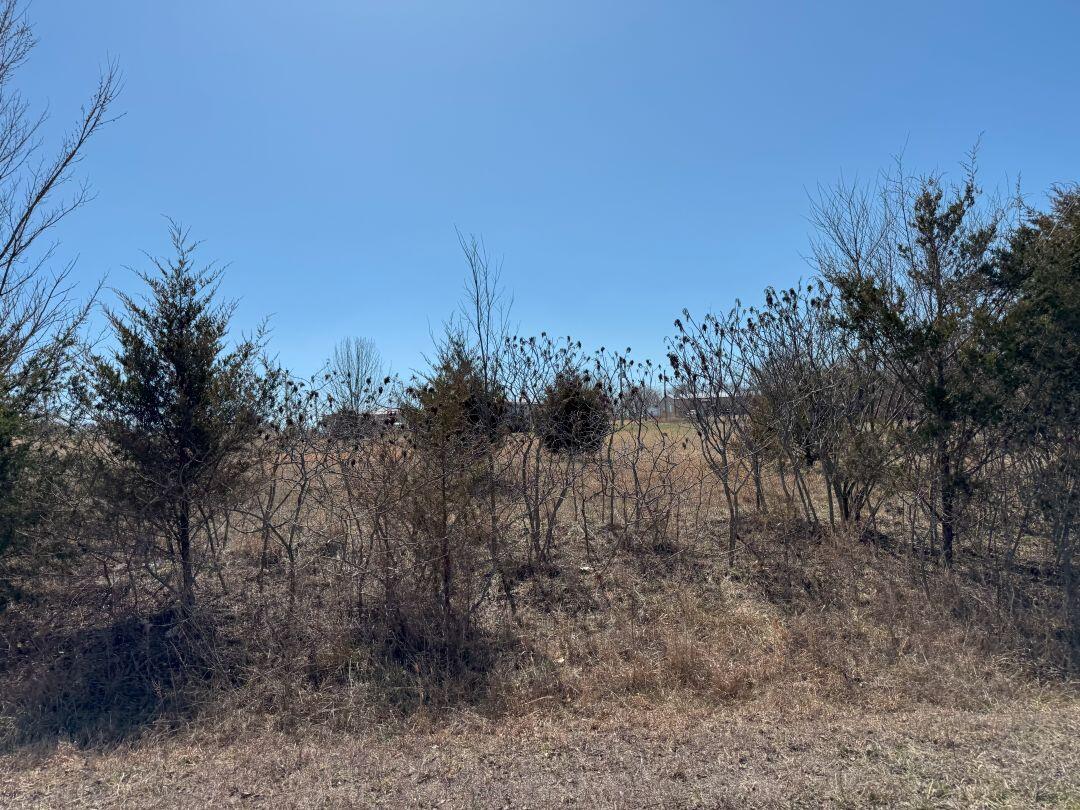 Tbd Lot 59 Blockade Village North Property Photo