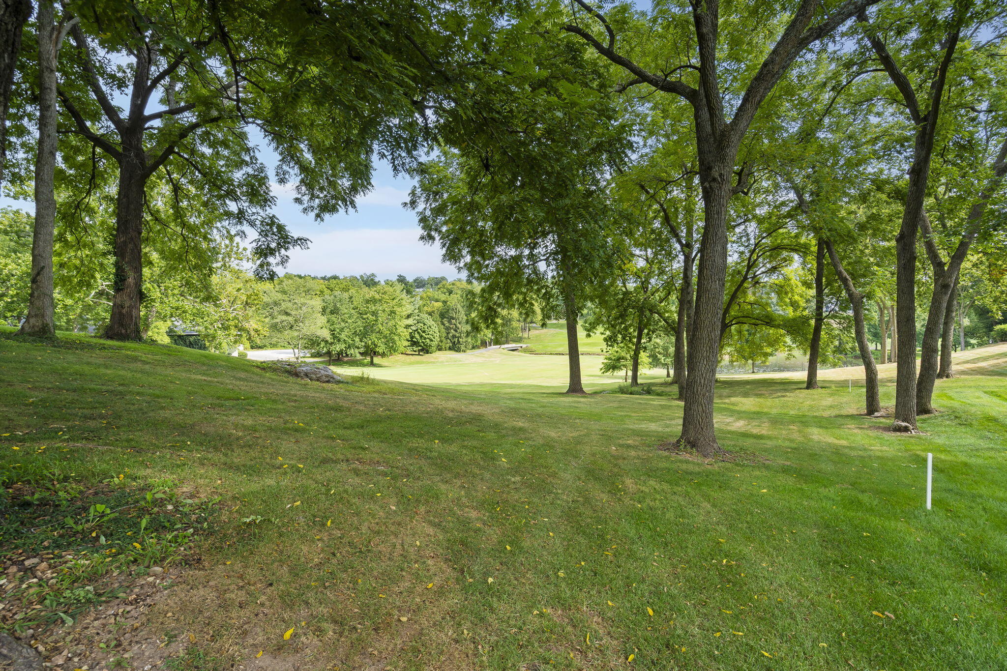 5336 South Stonehaven Drive Property Photo 82