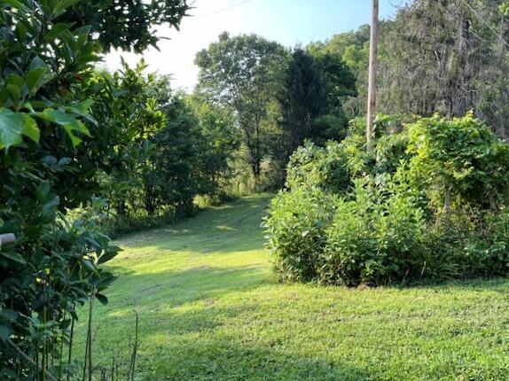 21999 Parrot Road Property Photo 5
