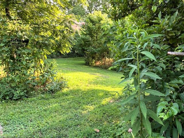 21999 Parrot Road Property Photo 6