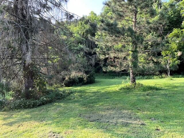 21999 Parrot Road Property Photo 7