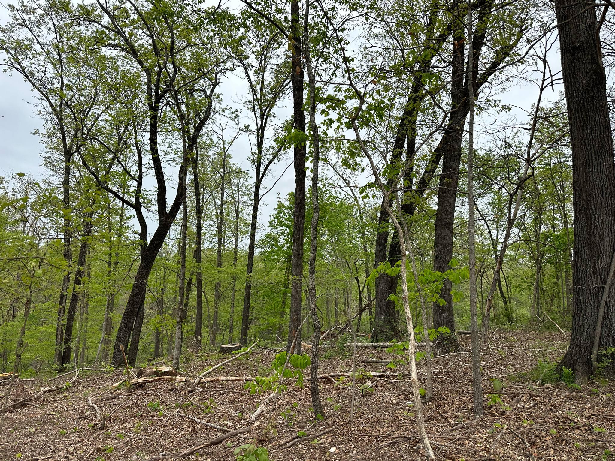 21999 Parrot Road Property Photo 28