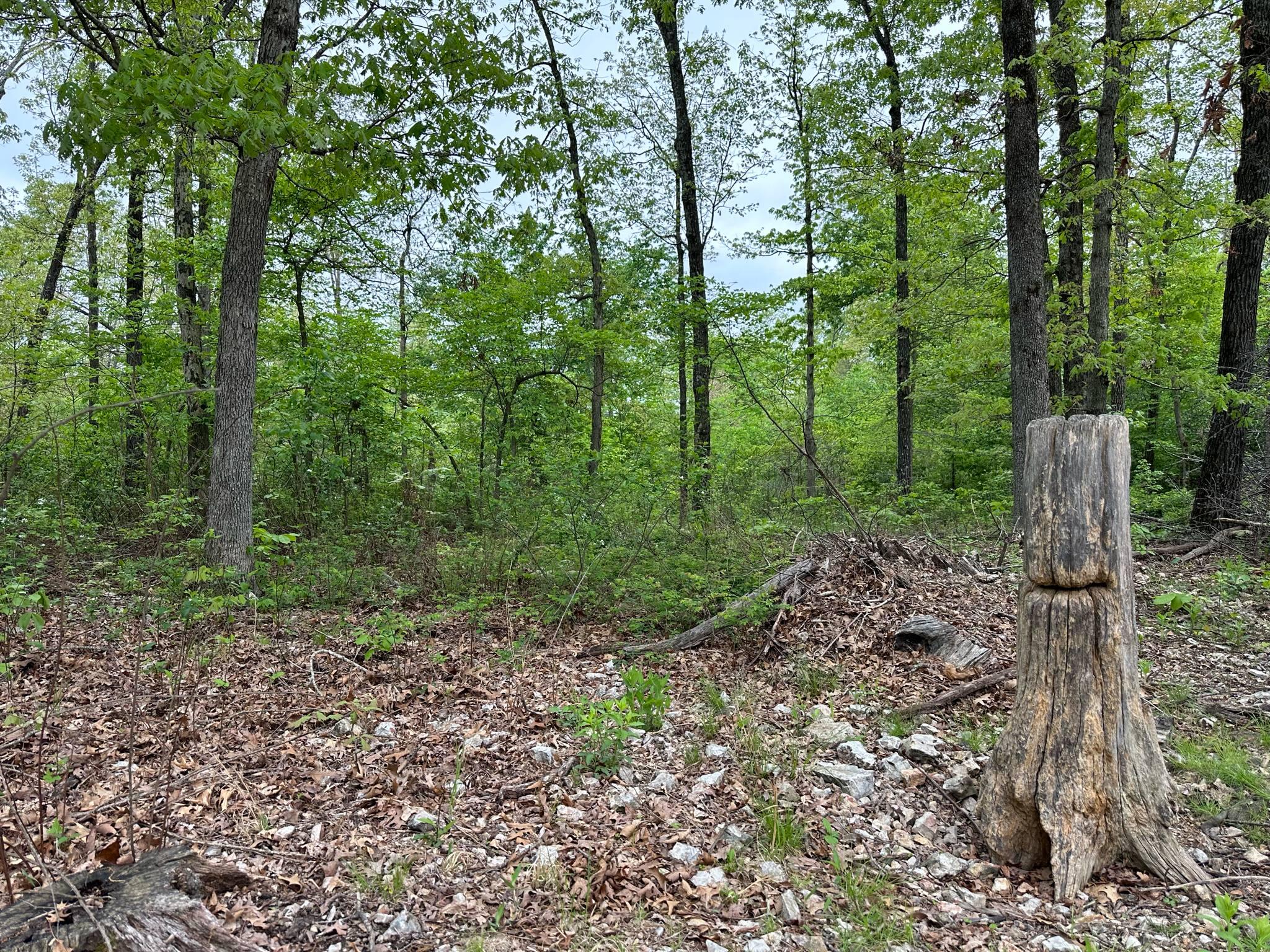 21999 Parrot Road Property Photo 29