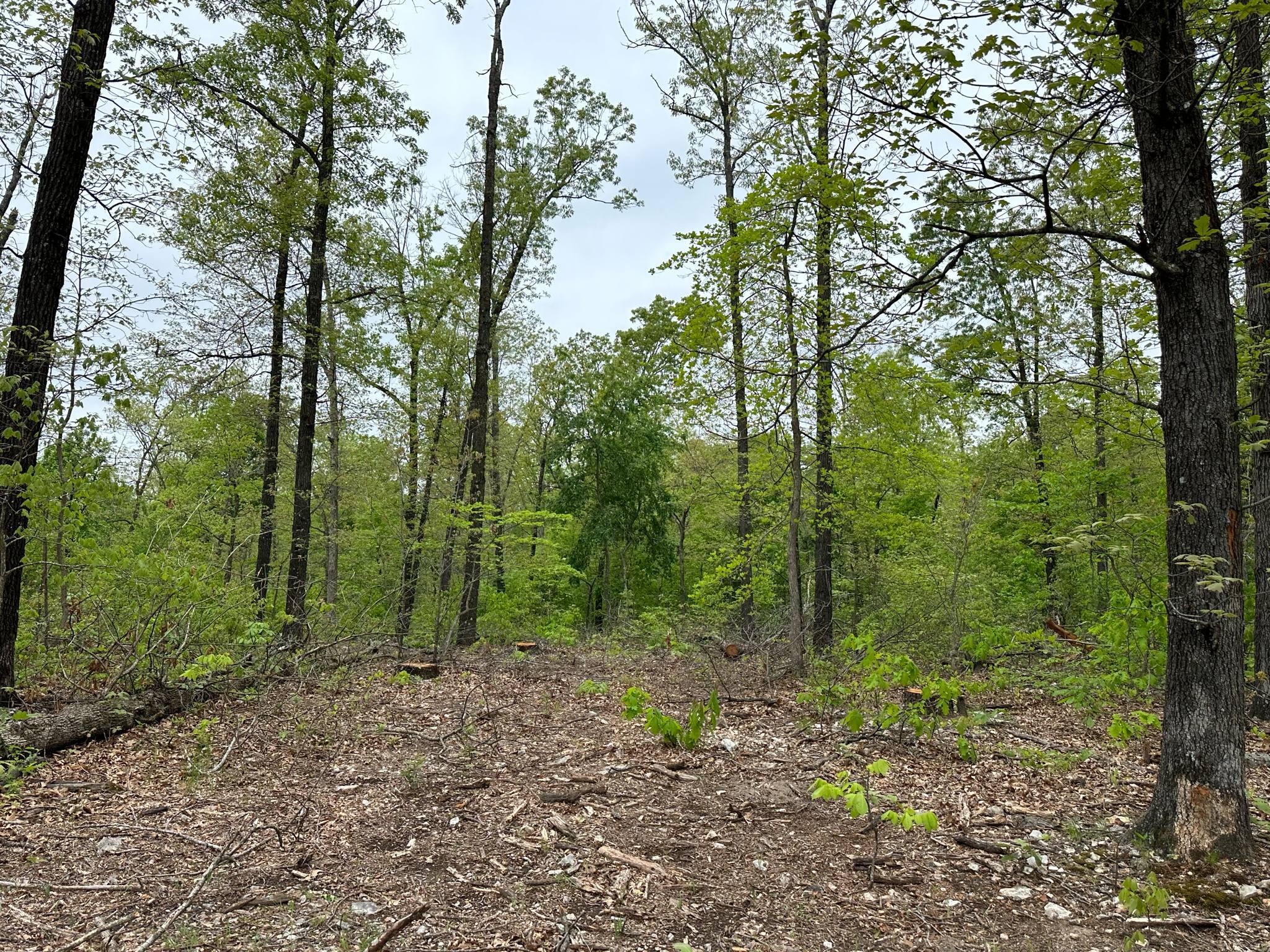 21999 Parrot Road Property Photo 30