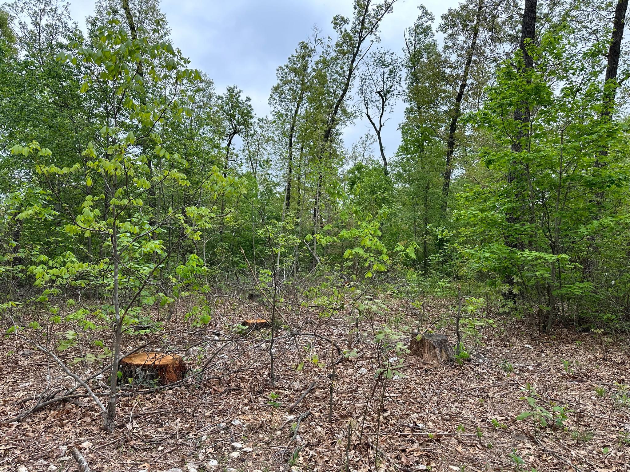 21999 Parrot Road Property Photo 34