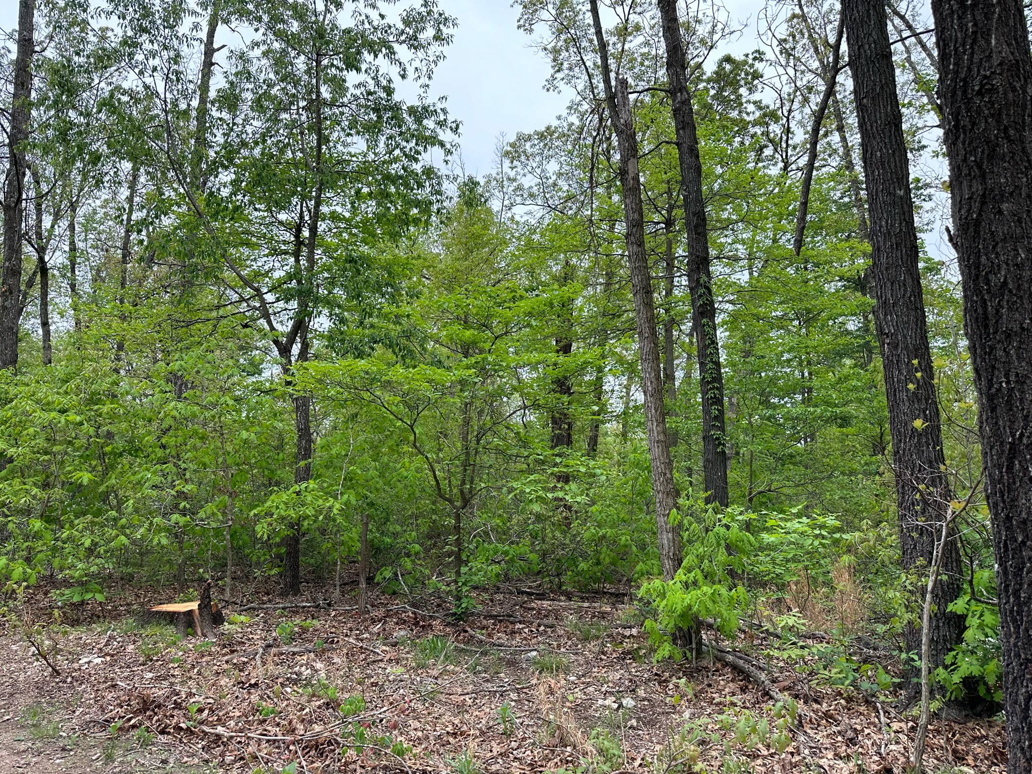 21999 Parrot Road Property Photo 35