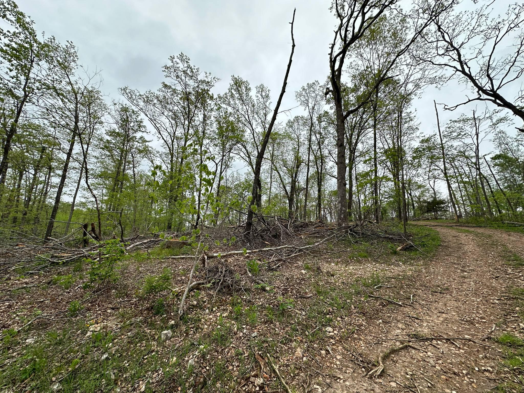 21999 Parrot Road Property Photo 37