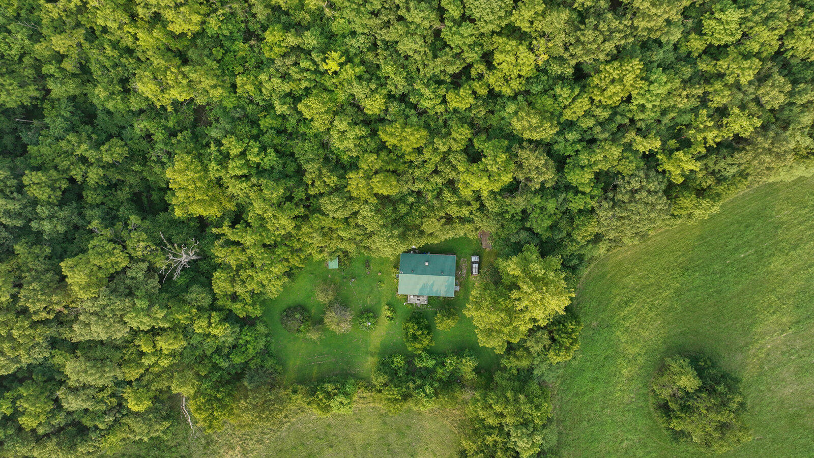 21999 Parrot Road Property Photo 40