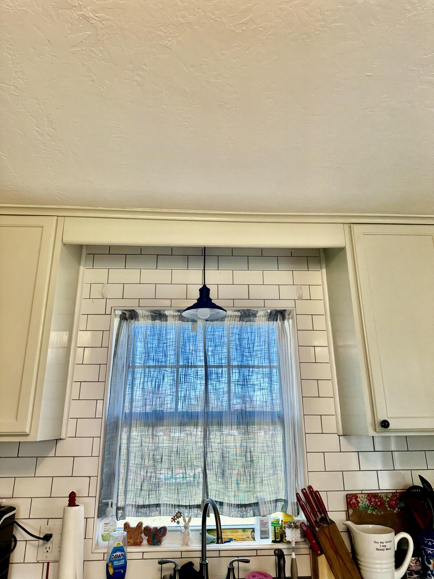 406 East 17th Street Property Photo 5