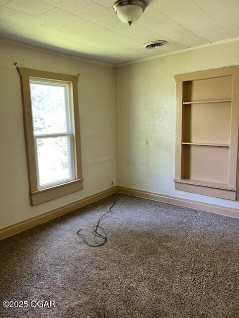 317 Mc Connell Avenue Property Photo 12