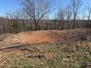000 Tract 1 Sugar Fork Road Property Photo 9