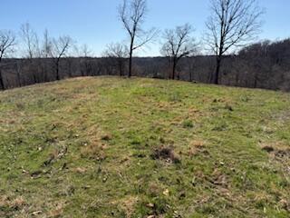 000 Tract 1 Sugar Fork Road Property Photo 12