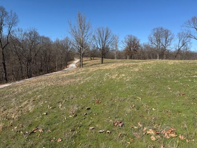 000 Tract 2 Sugar Fork Road Property Photo 4