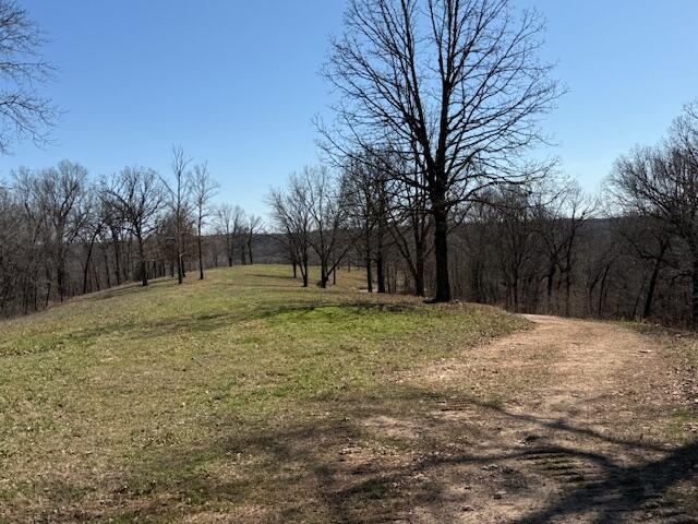 000 Tract 2 Sugar Fork Road Property Photo 6