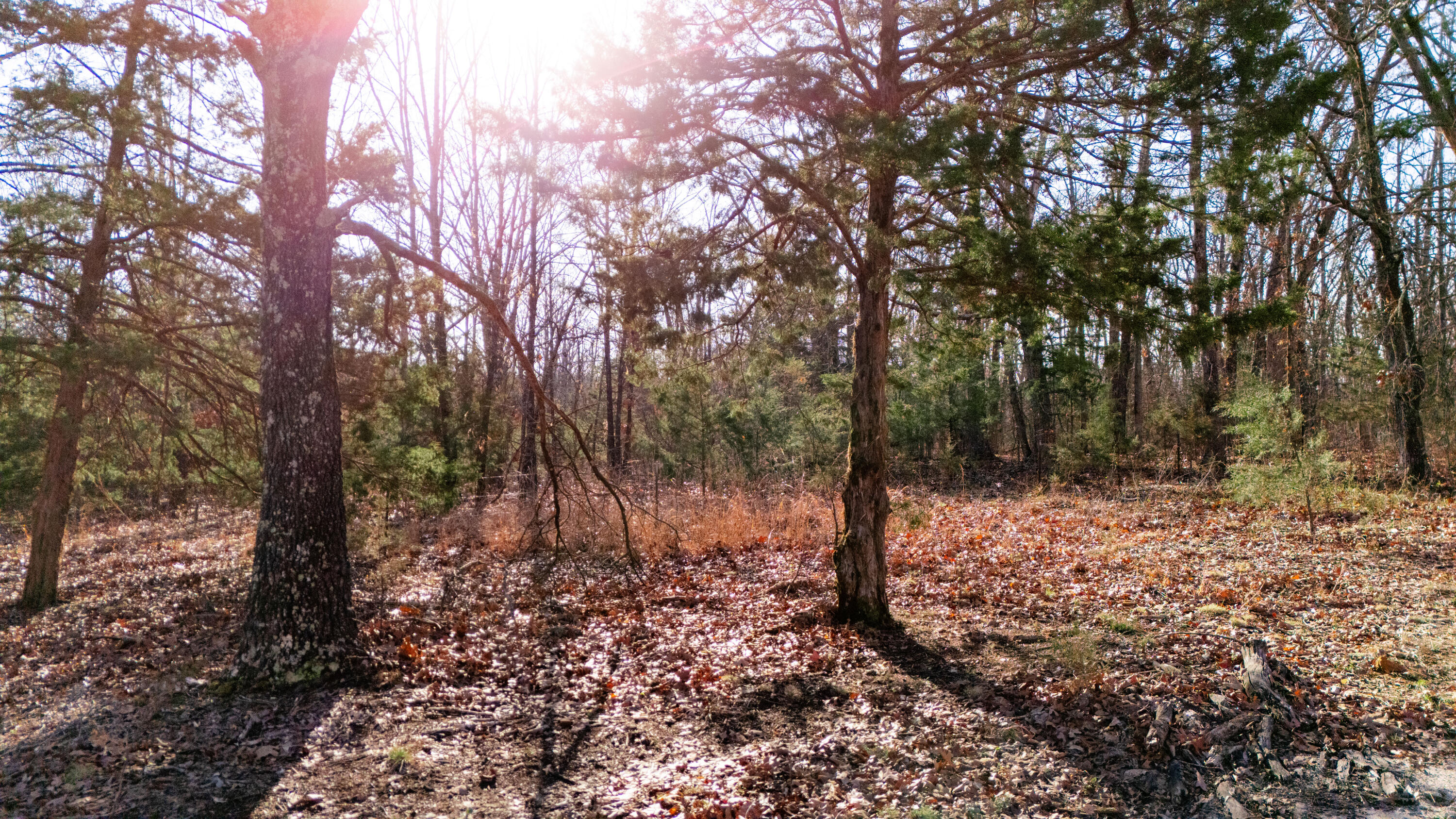 20476 East 1700 Road Property Photo 9