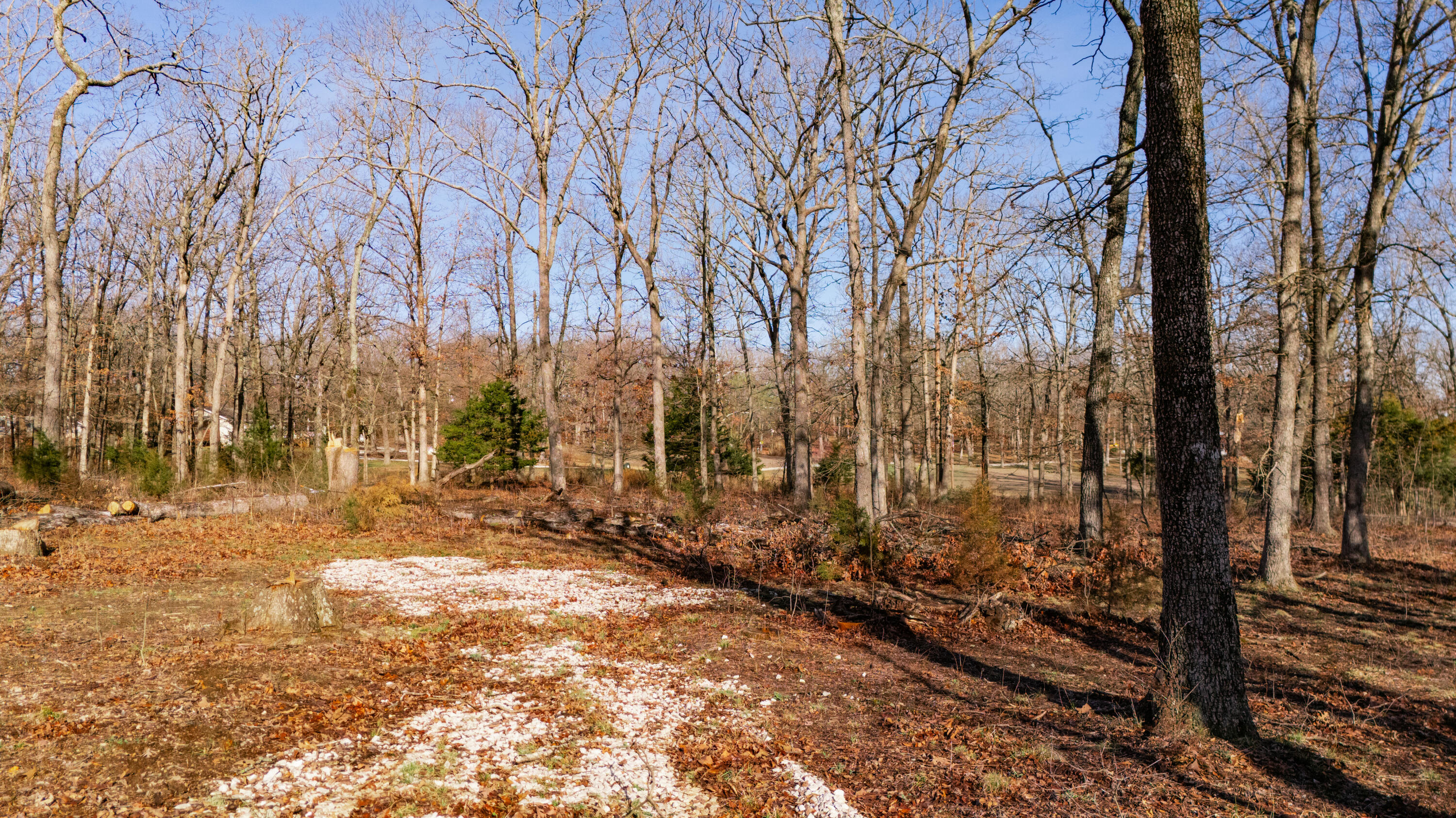 20476 East 1700 Road Property Photo 11