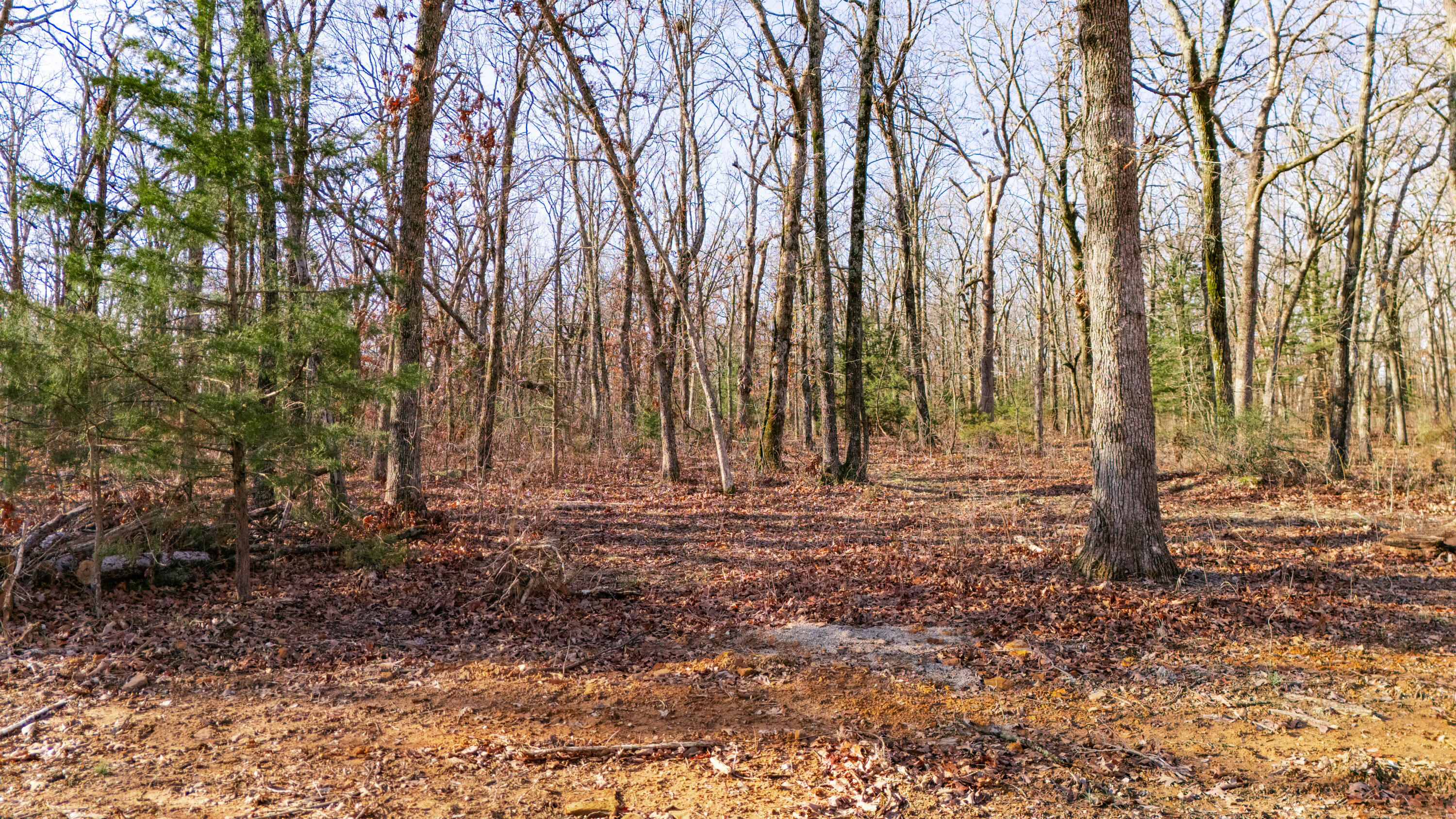 20476 East 1700 Road Property Photo 12