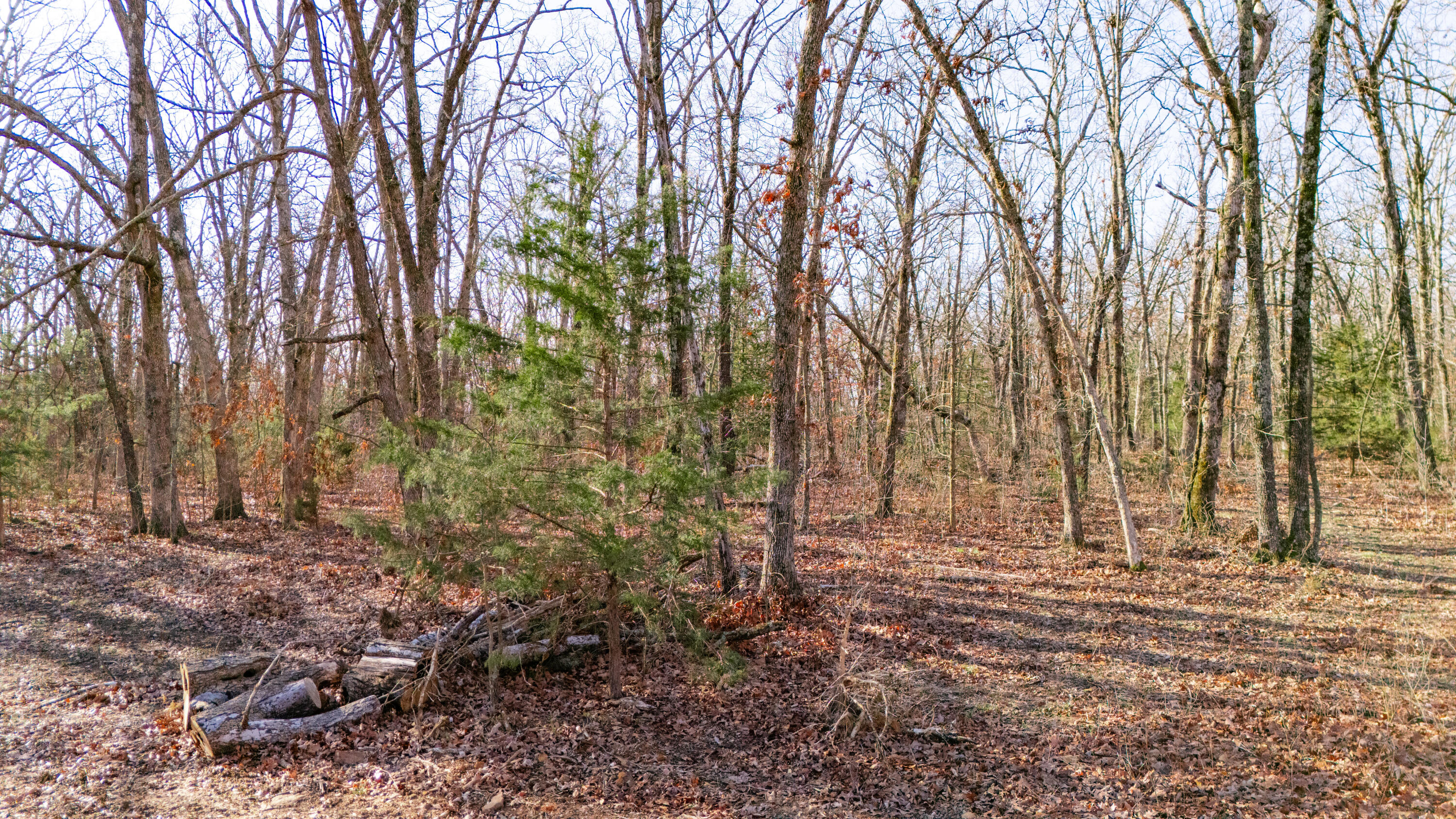 20476 East 1700 Road Property Photo 13