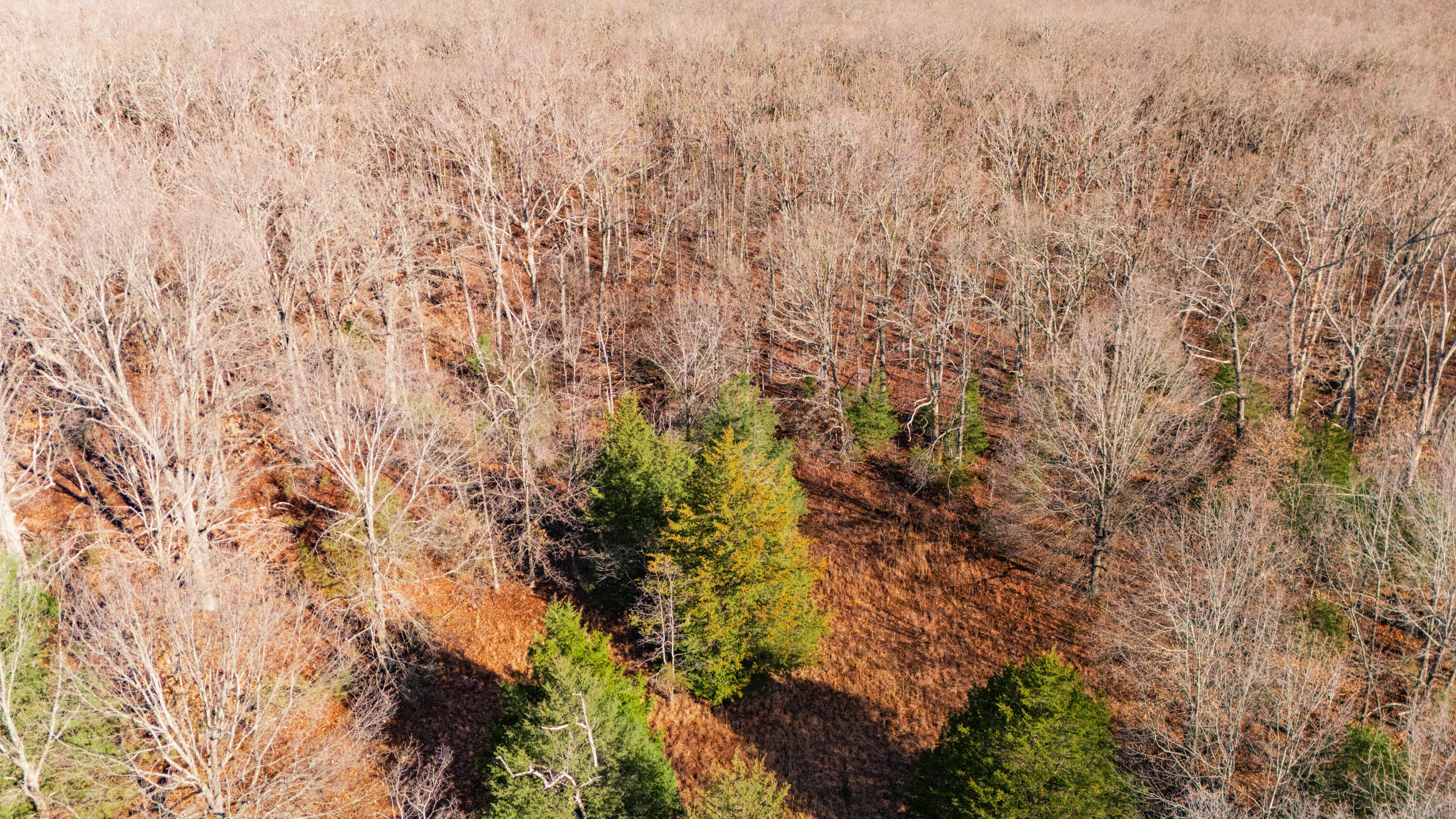 20476 East 1700 Road Property Photo 17