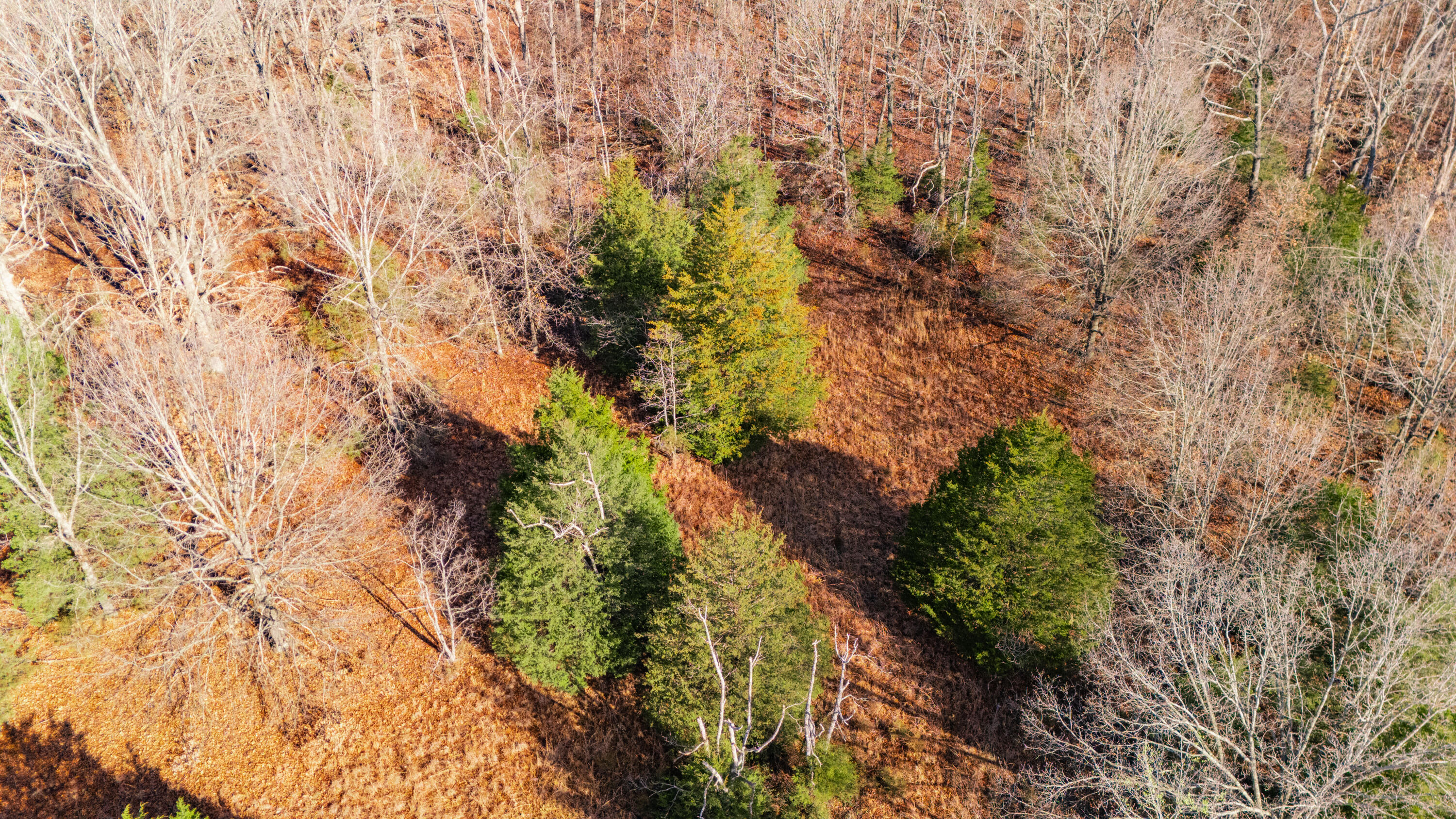 20476 East 1700 Road Property Photo 18
