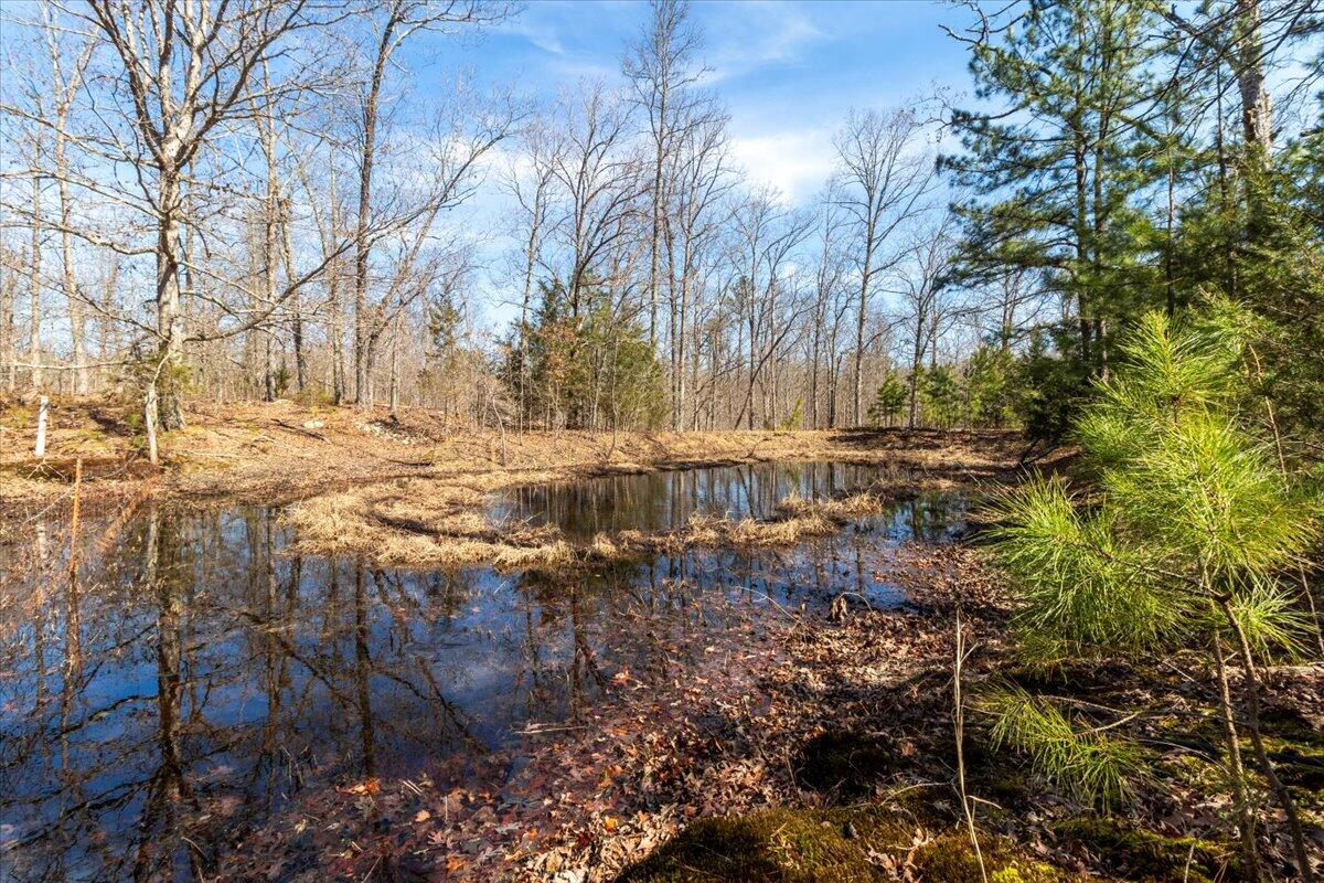 13036 County Road O-d Property Photo 7