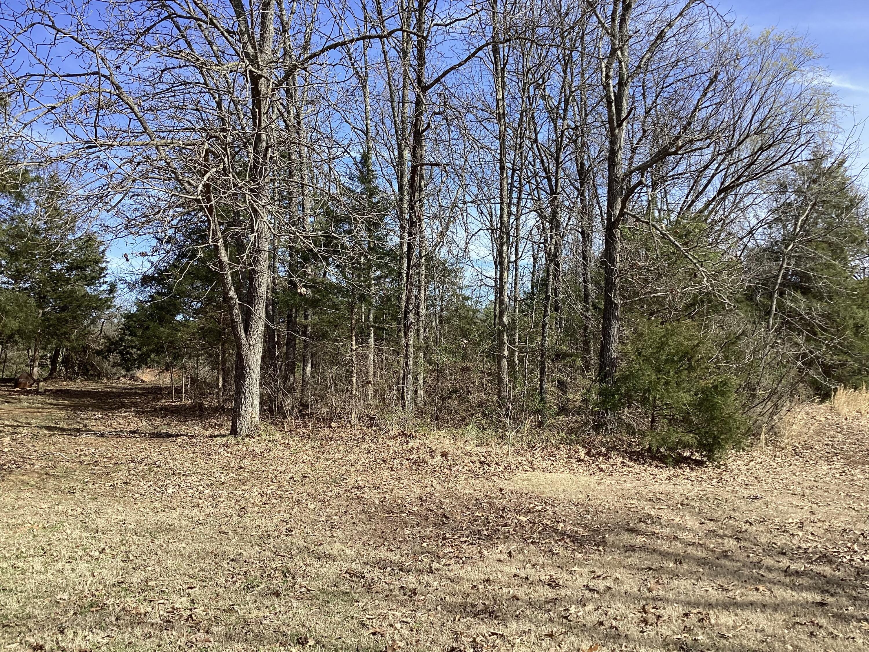 7406 County Road 5090 Property Photo 25