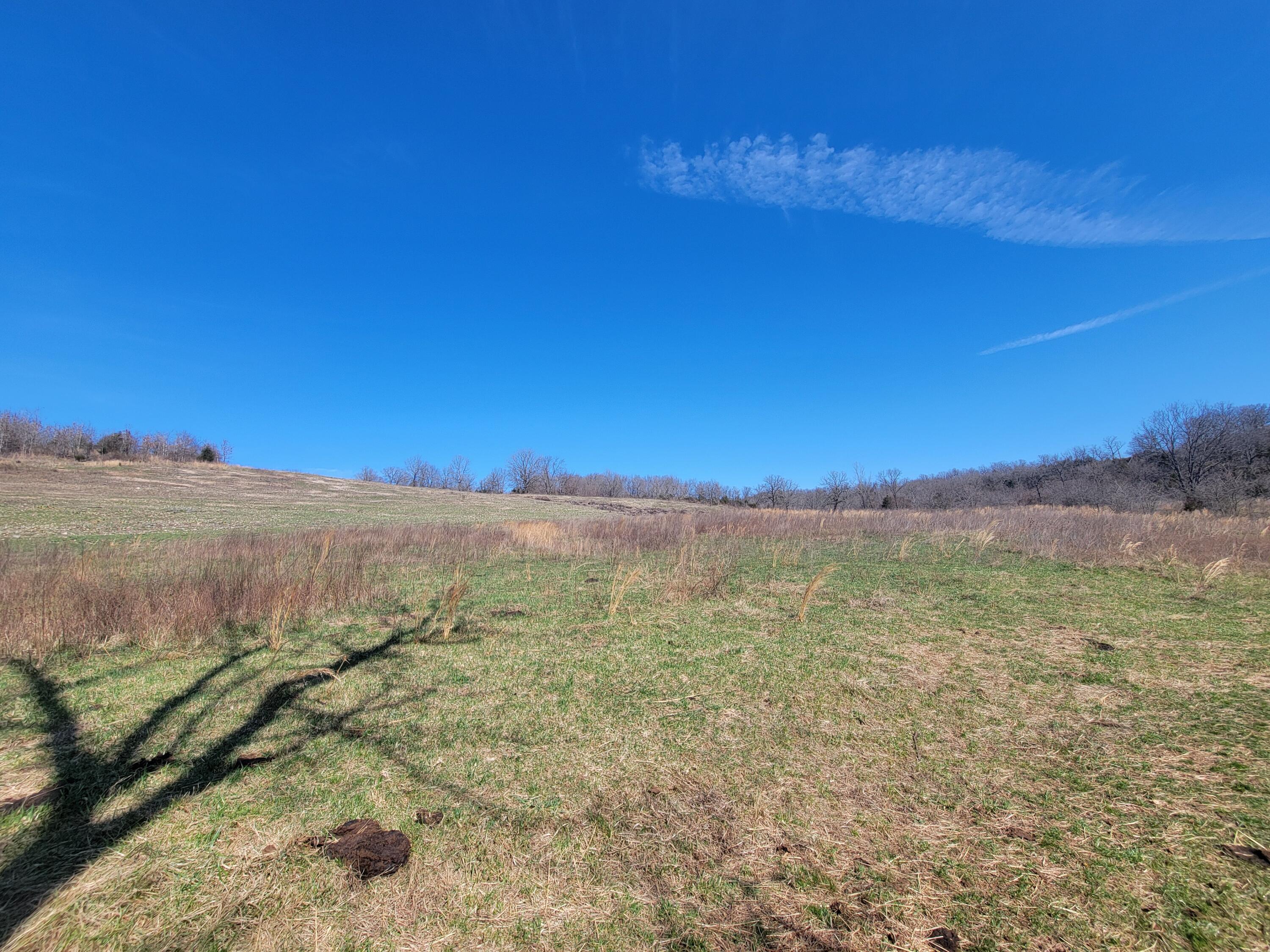 000 Cr 308 Property Photo 15