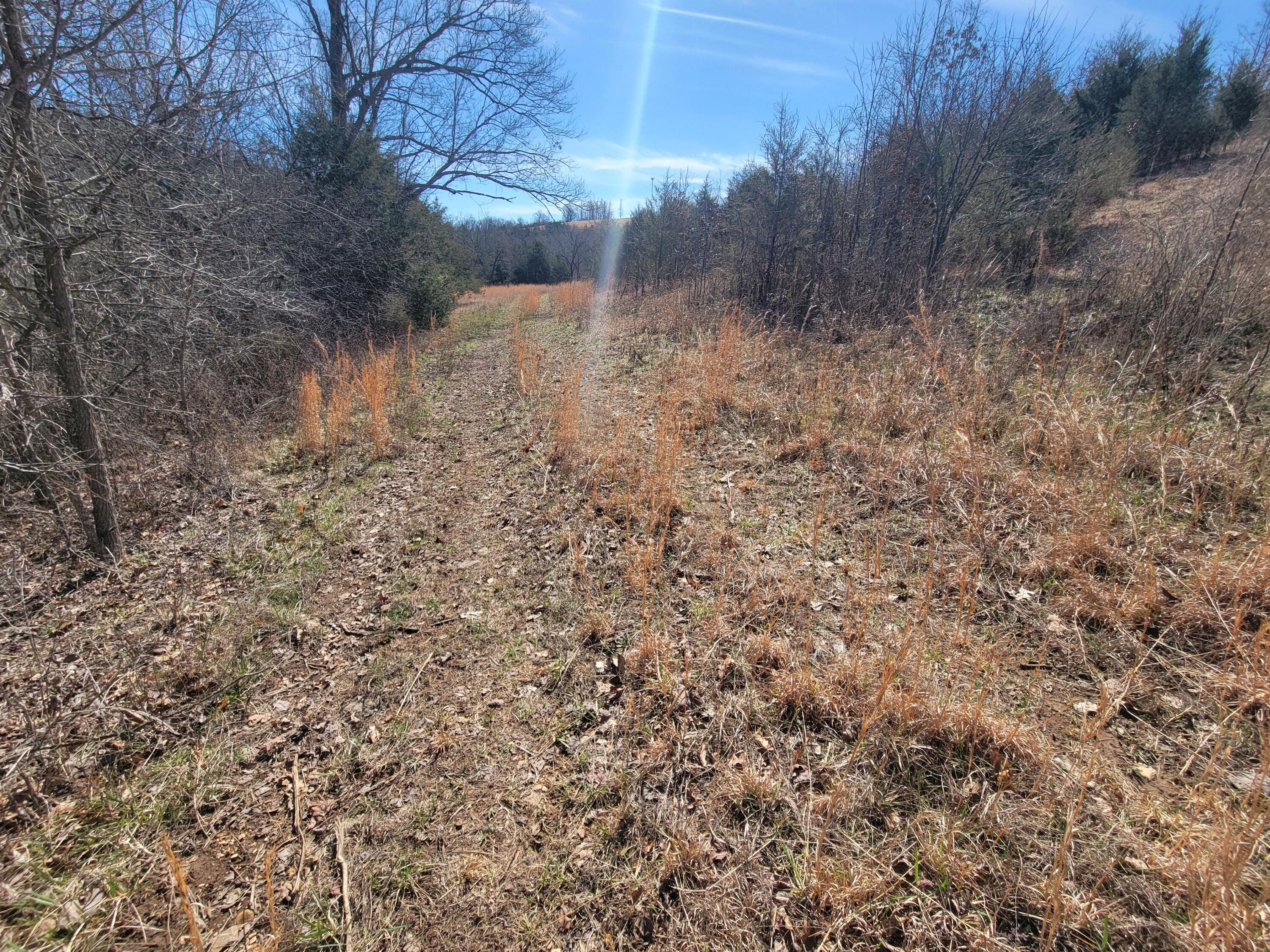 000 Cr 308 Property Photo 16
