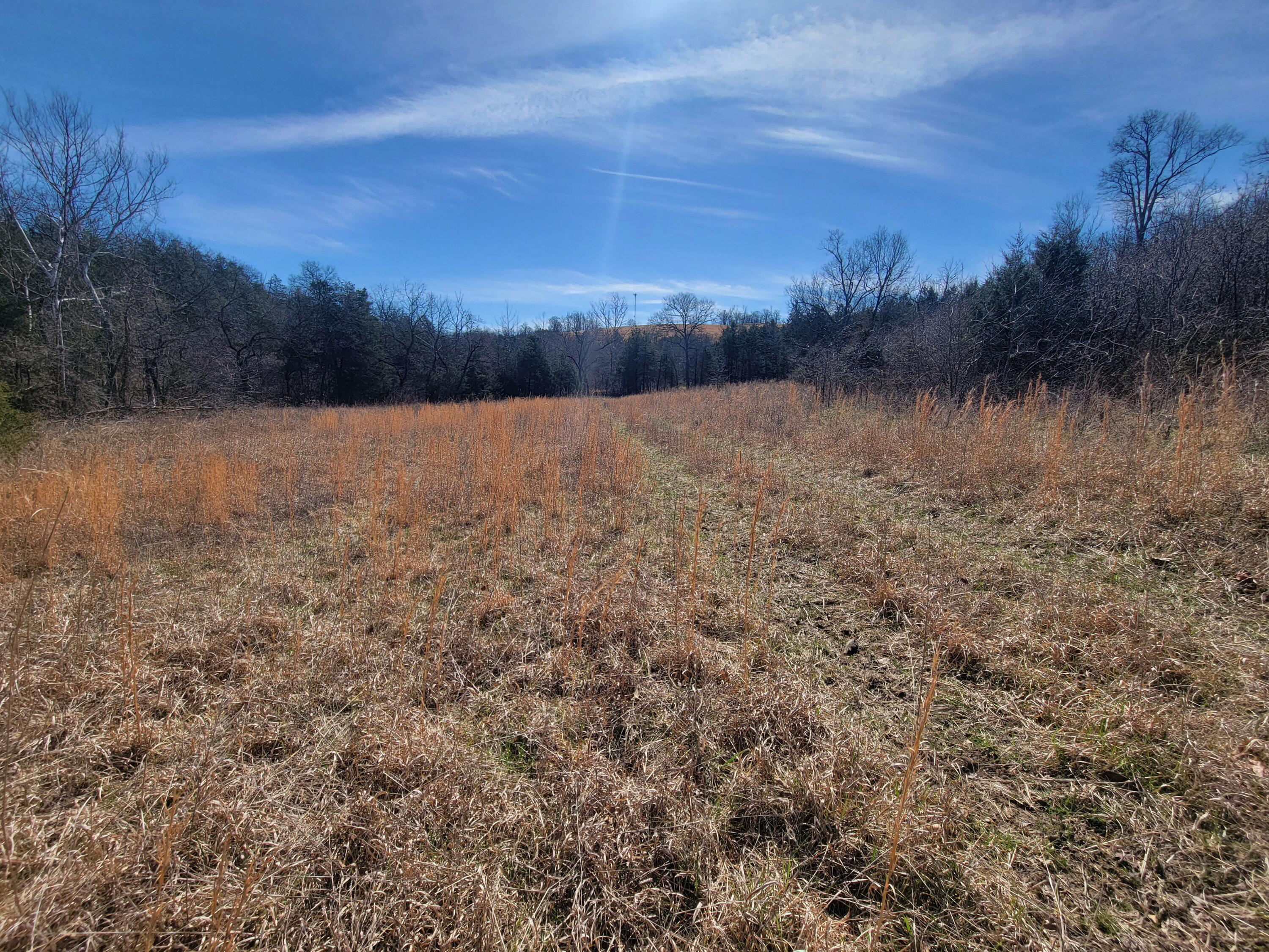 000 Cr 308 Property Photo 17