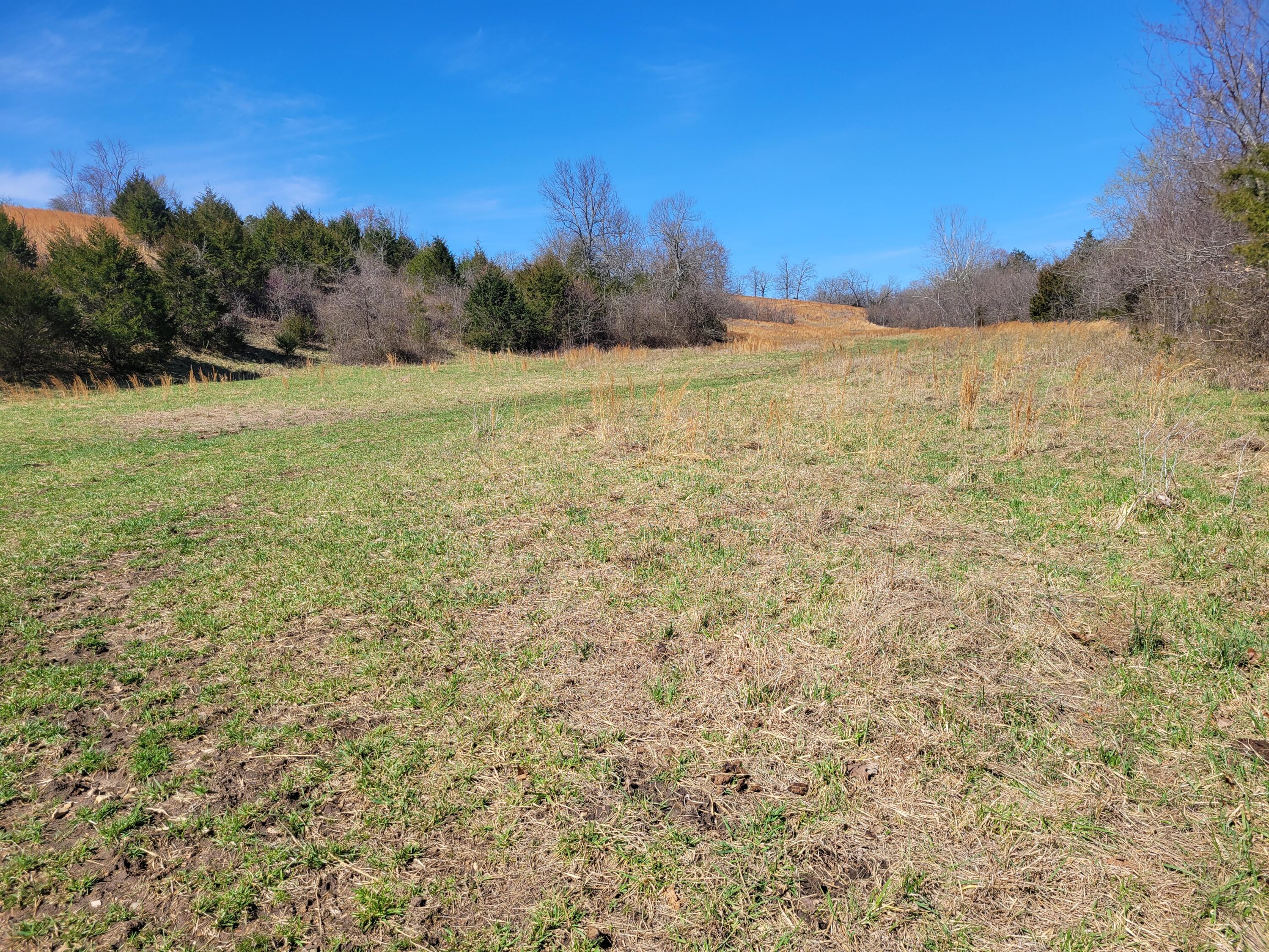 000 Cr 308 Property Photo 23