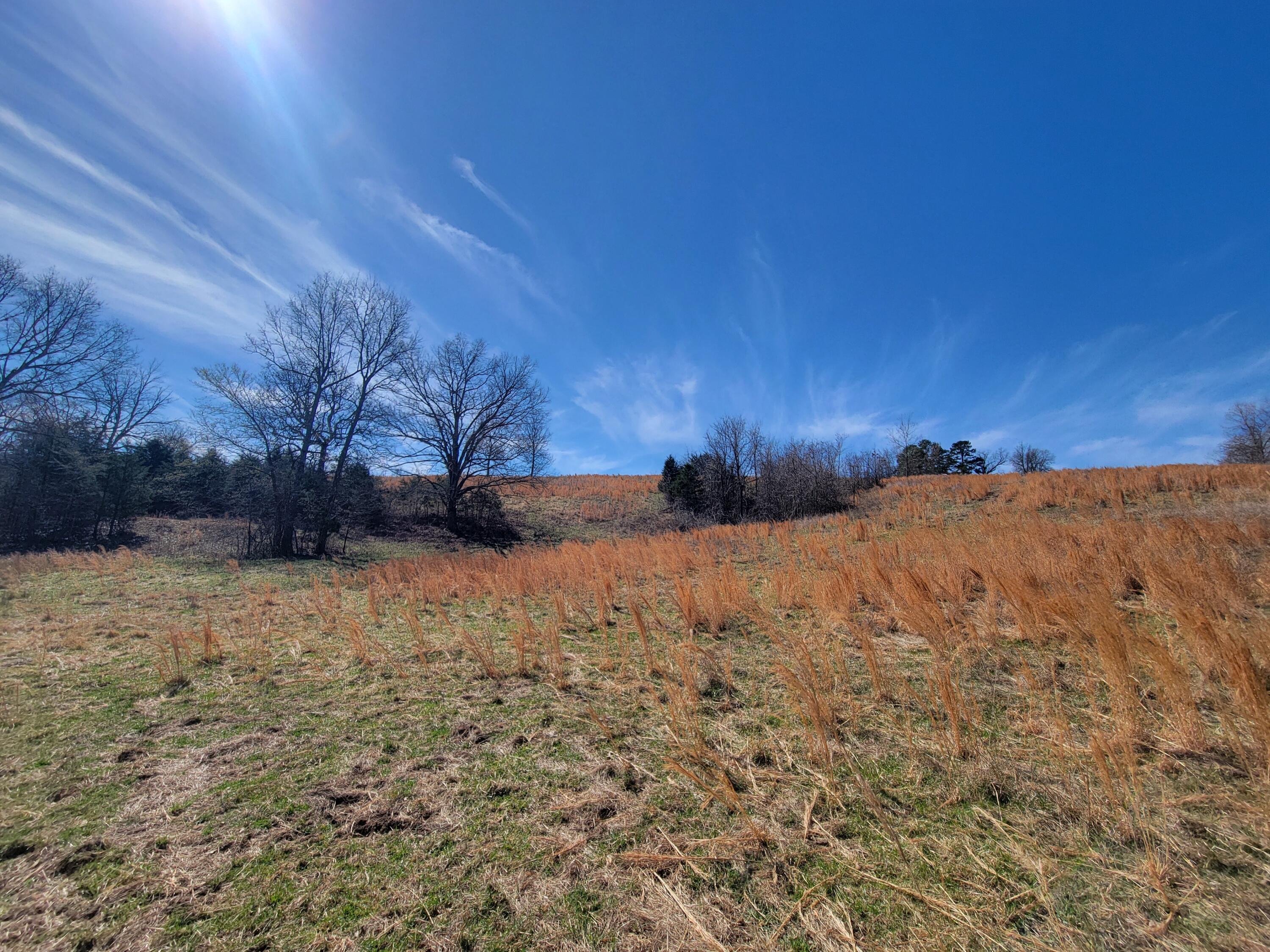 000 Cr 308 Property Photo 24