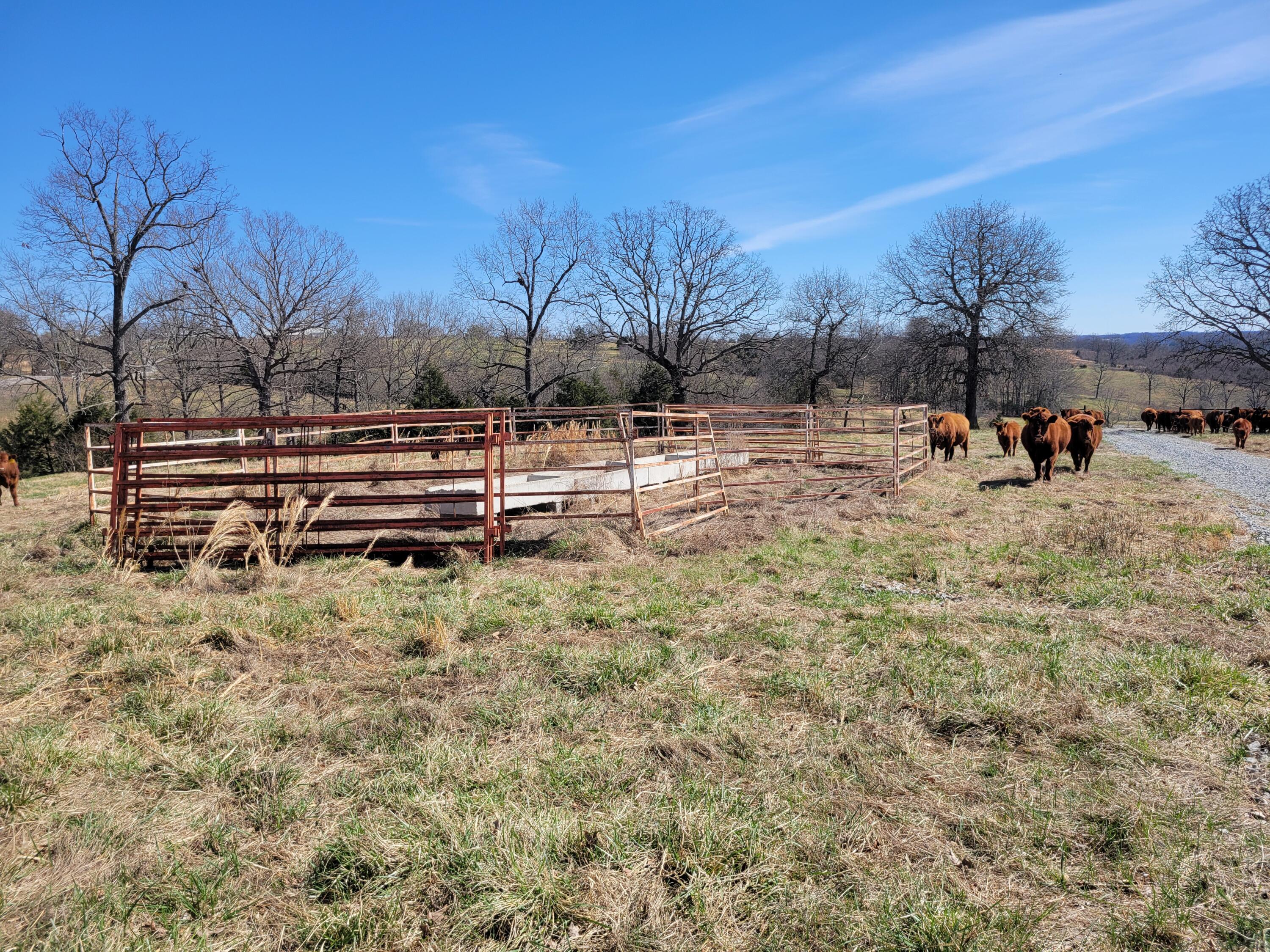 000 Cr 308 Property Photo 32