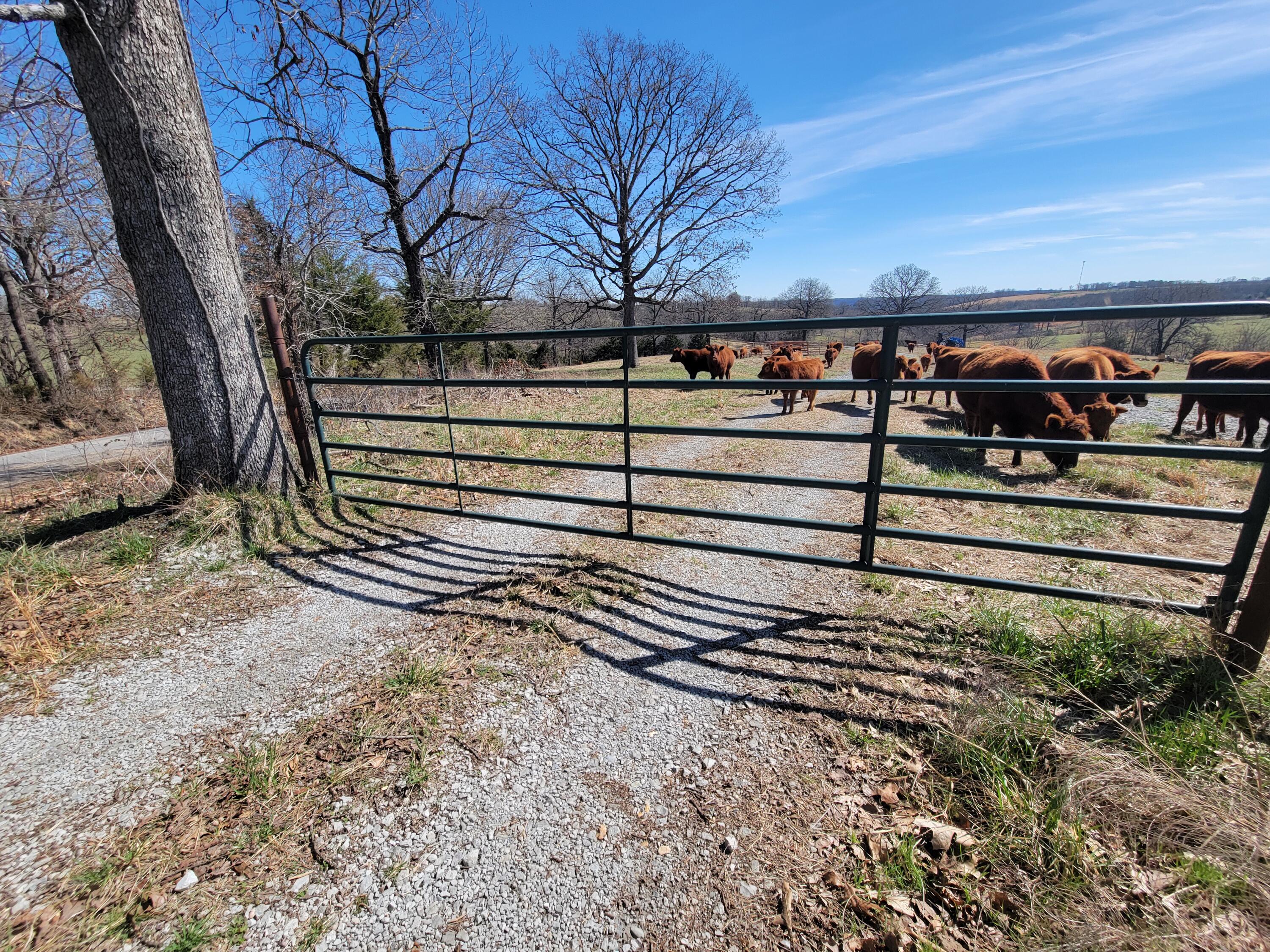 000 Cr 308 Property Photo 33