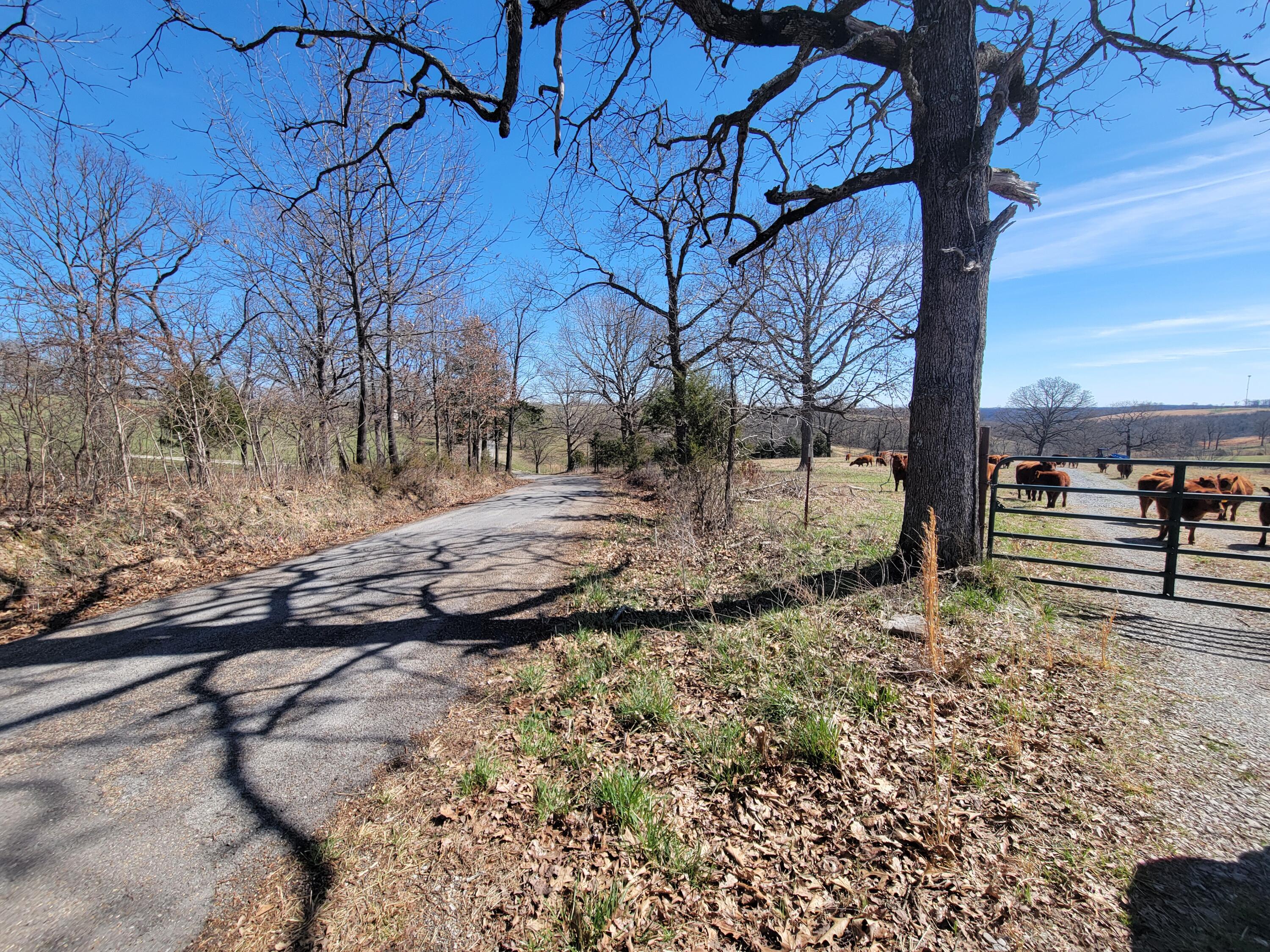 000 Cr 308 Property Photo 34