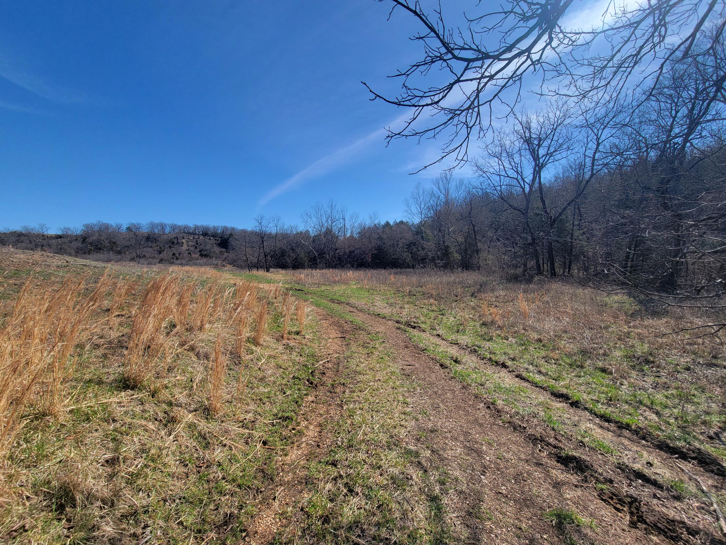 000 Cr 308 Property Photo 37