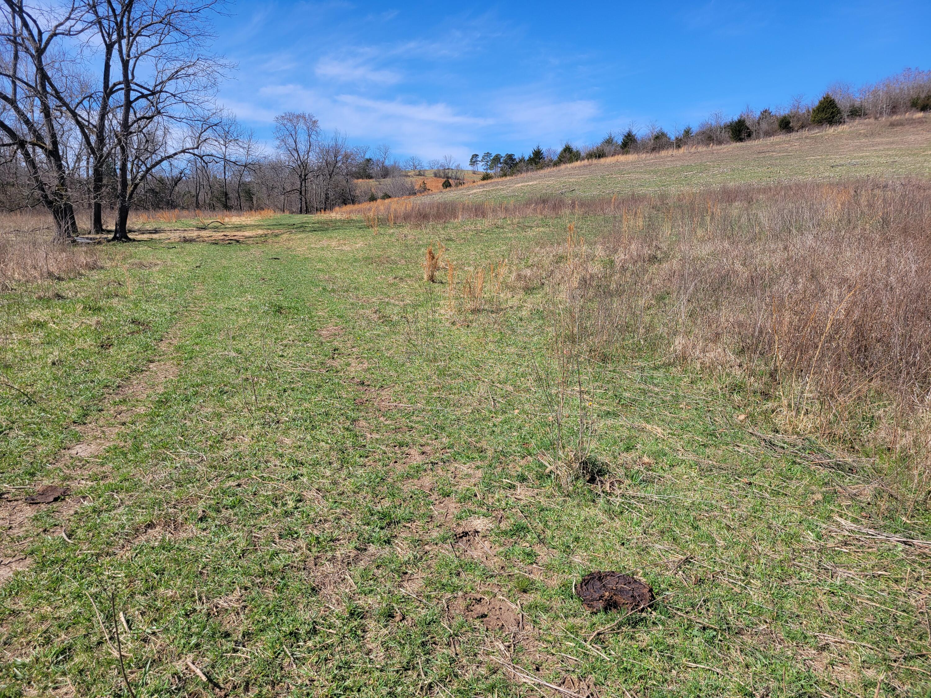 000 Cr 308 Property Photo 49