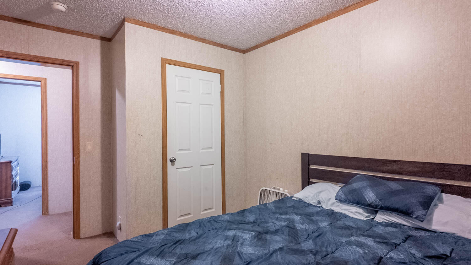 3936 County Road 385 Property Photo 50