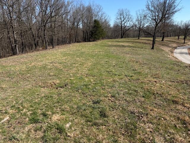 000 Tract 3 Sugar Fork Road Property Photo 7