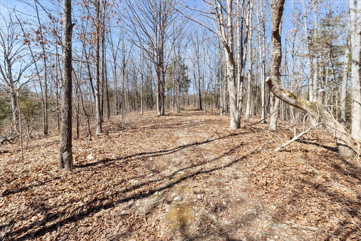 2480 County Road 317 Property Photo 20