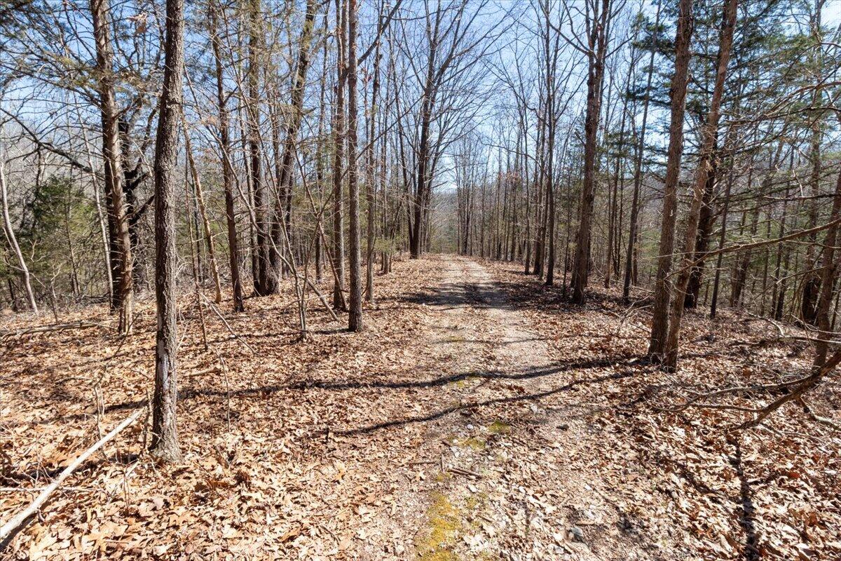 2480 County Road 317 Property Photo 21