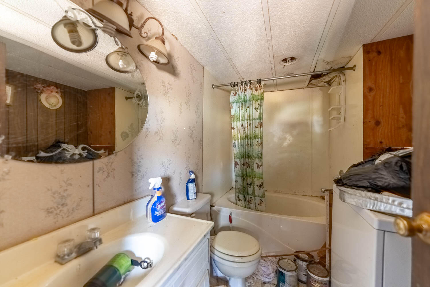 3645 County Road 228 Property Photo 22