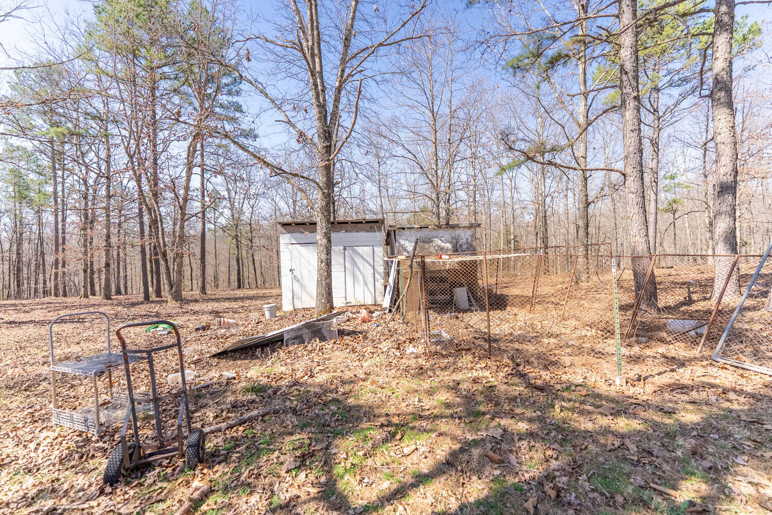 3645 County Road 228 Property Photo 34