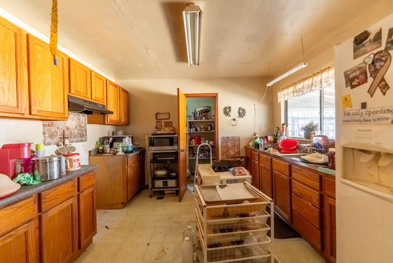 3645 County Road 228 Property Photo 45