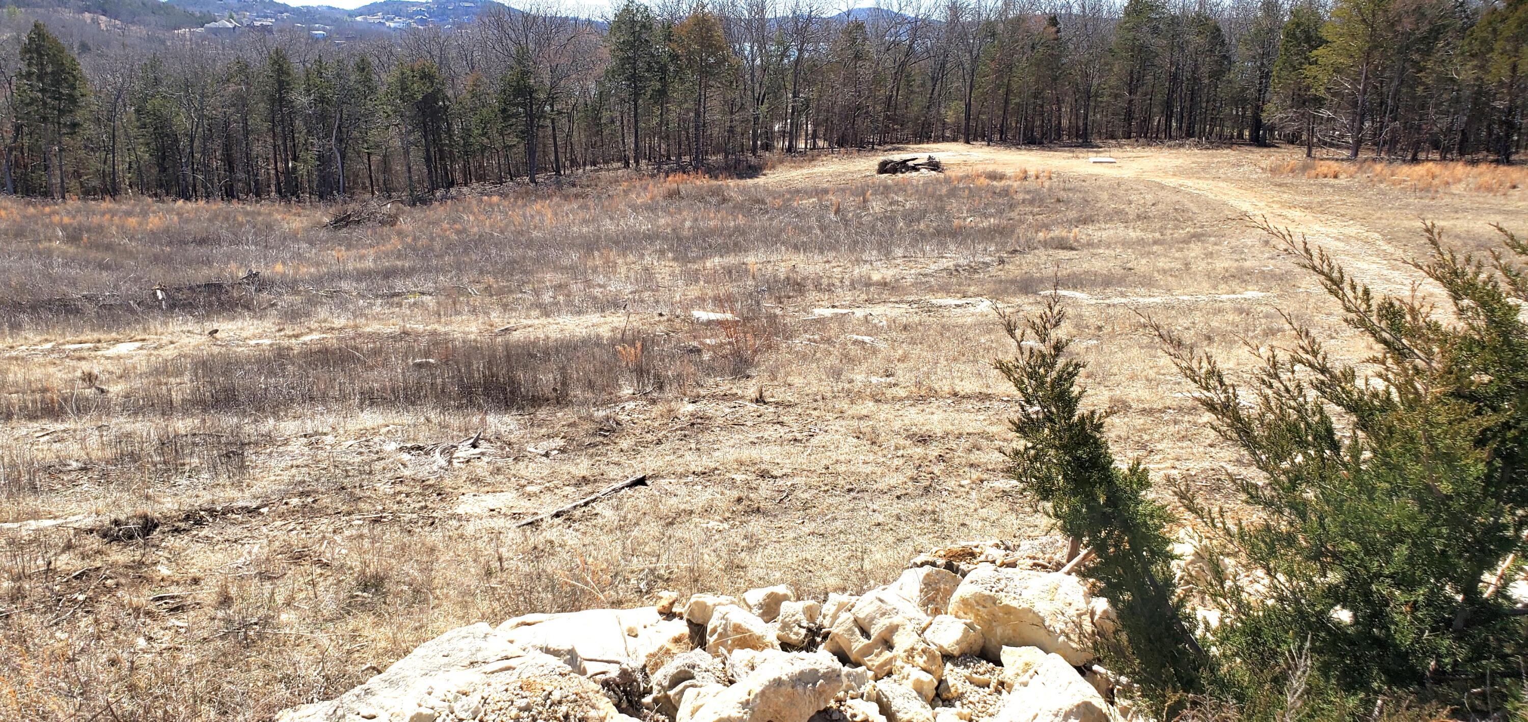 000 Lot 189 Silver Sunset Lane Property Photo 1