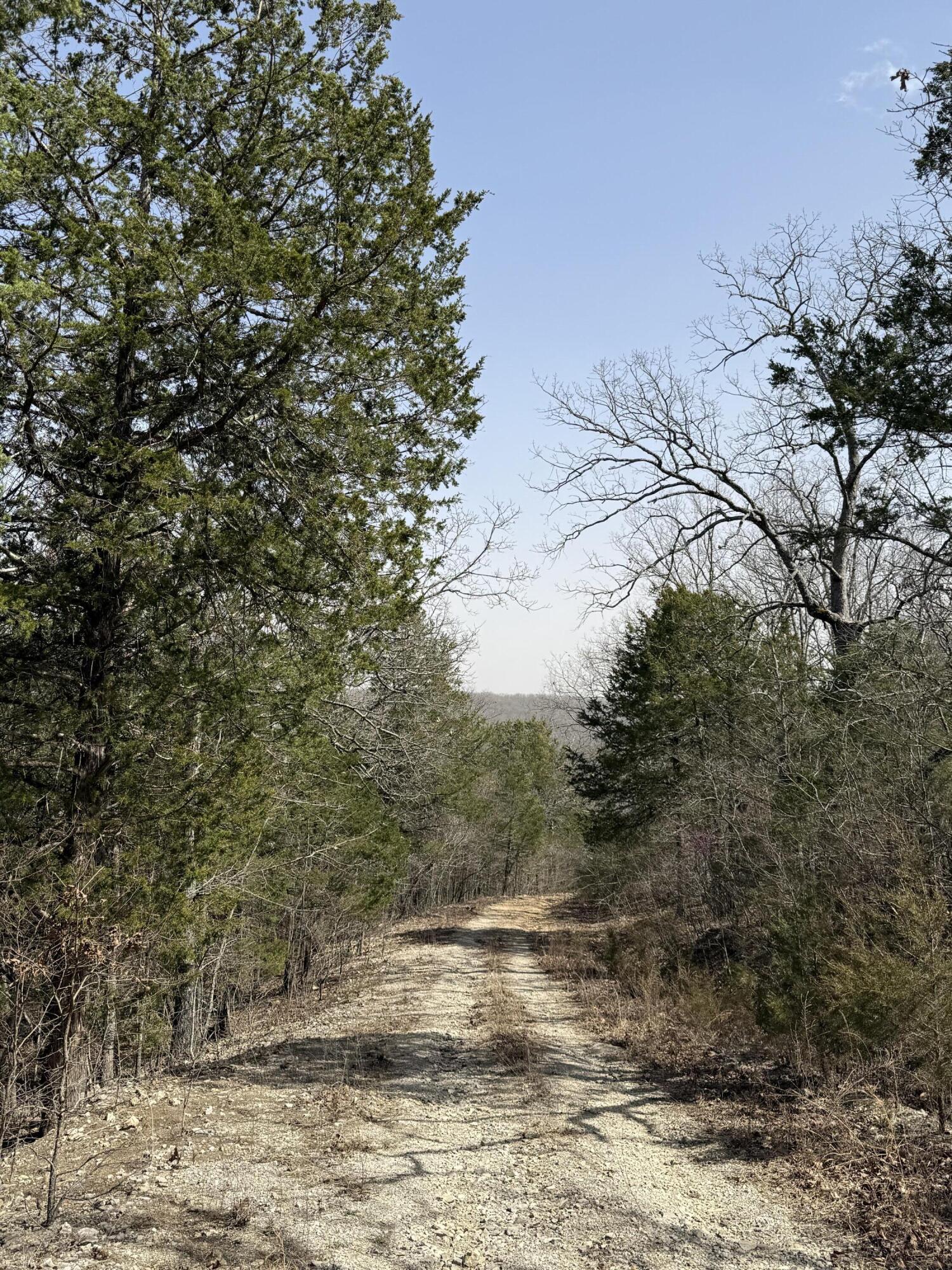 Lot 5 N&s Copperhead Road Property Photo 5