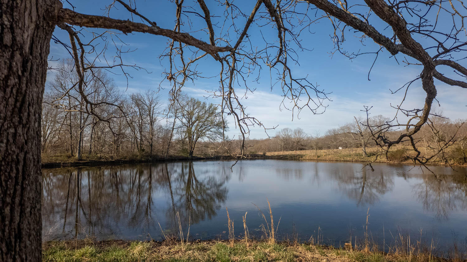 3936 County Road 385 Property Photo 9